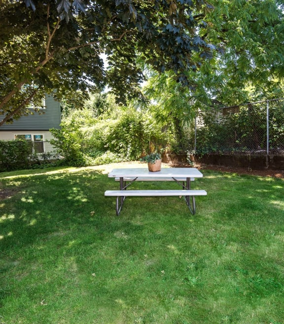 Francis Park green space picnic area