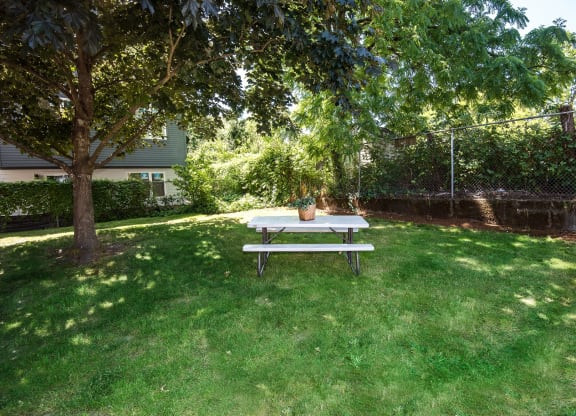 Francis Park Picnic Area with Table