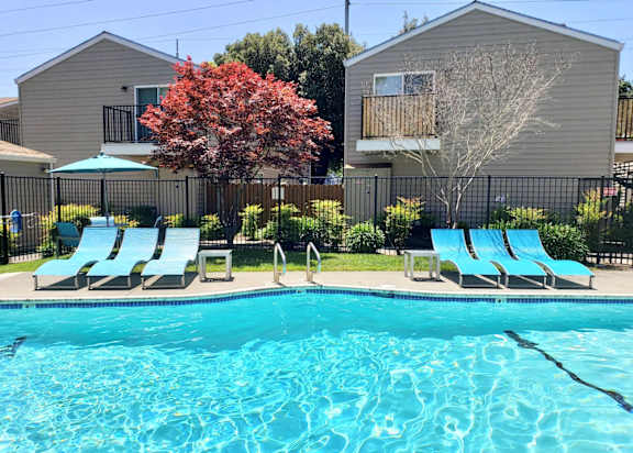 A small white dog is sitting on a bed with a woman in the background. at Stony Creek Apartments, Santa Rosa, 95401
