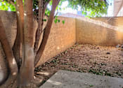 Thumbnail 14 of 15 - a small private backyard with a tree, concrete pad and open area