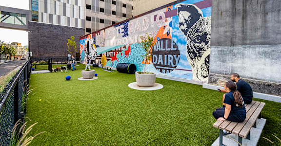 Pet Park at Center Square Lofts East, Pennsylvania, 18101