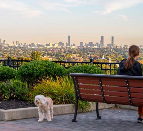 Resident Enjoying Panoramic City Views with Dog-Friendly Greenery at Arlington 360