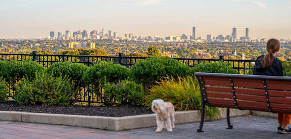 Arlington 360 Community Outdoors Outdoor Entertainment Areas 2