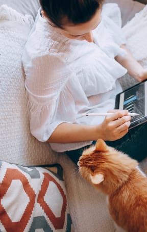 a woman sitting on a bed with a cat and a laptop
