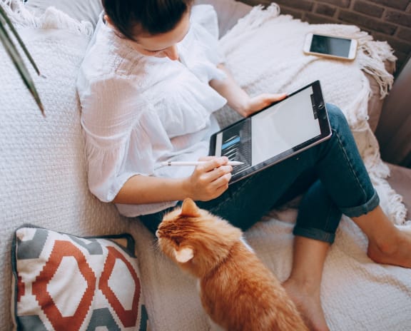 a woman sitting on a bed with a cat on her laptop