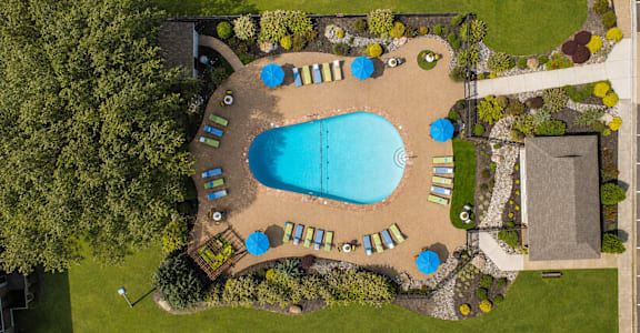 An aerial view of a swimming pool surrounded by trees and lawn.
