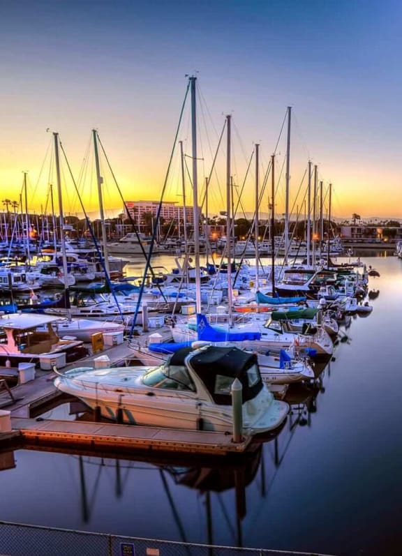 a group of boats docked in a harbor at sunset