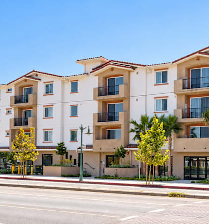 A row of modern apartment buildings with balconies and palm trees in front.