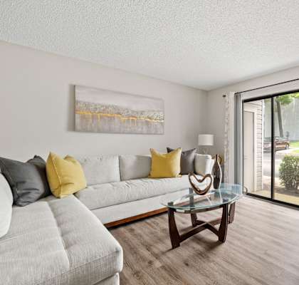 Spacious Living Area With Wood-Style Flooring