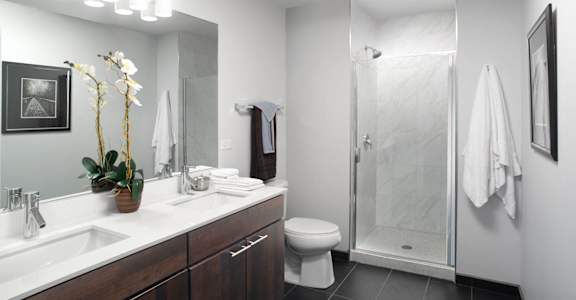 Master bath at Central Station, Evanston, Illinois, 60201
