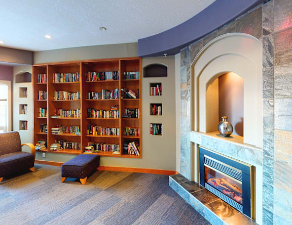 A living room with a fireplace and a bookshelf.