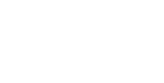 A logo with the text "LANA" next to a geometric icon.