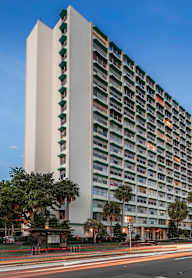 A tall white building with balconies on the upper floors stands next to a tree and a street with cars.