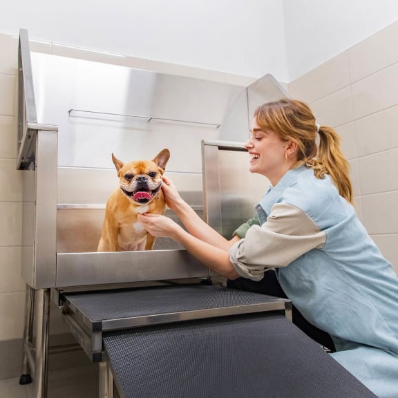 a woman is bathing a dog in a bath tub at Southpark on Whyte, Edmonton
