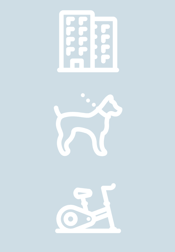 dog on a bike icon