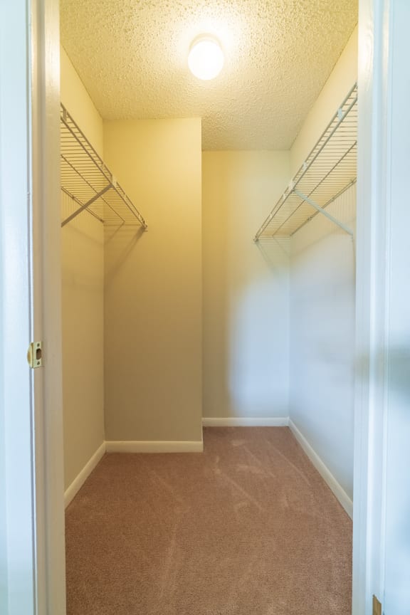 Closet at Laurel Oaks Apartments in Tampa, FL