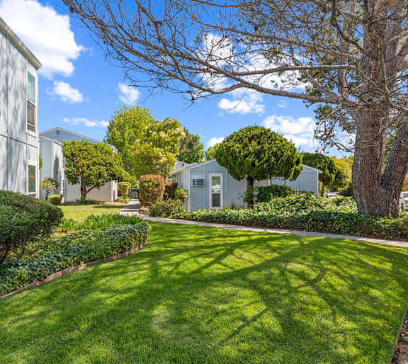 A well-maintained lawn at Hill Valley, California, 94947