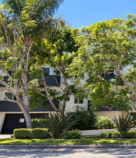 A white building with a black garage door is surrounded by trees.