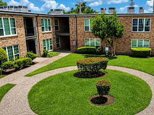 A courtyard with a tree and bushes in the middle of a brick building.