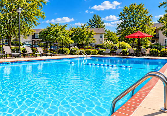A swimming pool surrounded by trees and chairs.