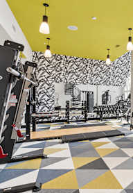 A gym with a variety of equipment including treadmills, weights and exercise machines.