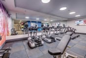 Thumbnail 7 of 8 - Lux Apartments Bellevue WA 24-hour fitness center amenity with ellipticals, treadmills, free weights, and strength training machines