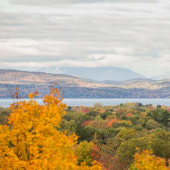 Foliage View