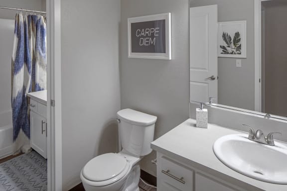 Bathroom at Canyon Park Apartments, OR