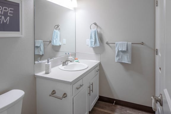 Bathroom at Canyon Park Apartments, Beaverton