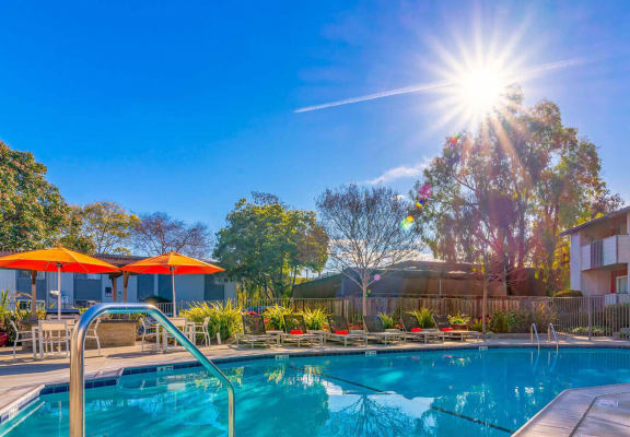 our apartments have a swimming pool in front of our building at Sunnyvale Crossings Apartments, LLC, Sunnyvale California
