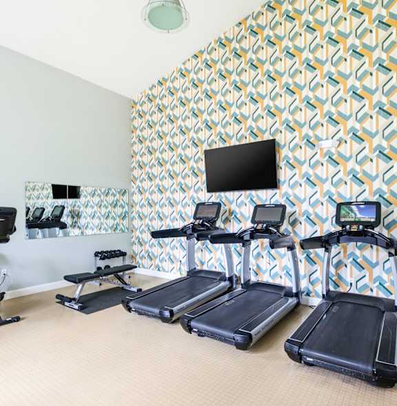 A gym with treadmills, elliptical machines, and a weight machine at Hidden Brook Apartment Homes Apartments, New Bedford, MA, 02740