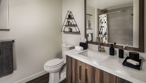 bath with white counter and sink and a toilet
