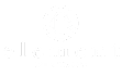 the logos for the volleyball team