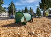 Thumbnail 29 of 36 - Pet Play Area at Central Park East, Washington, 98007