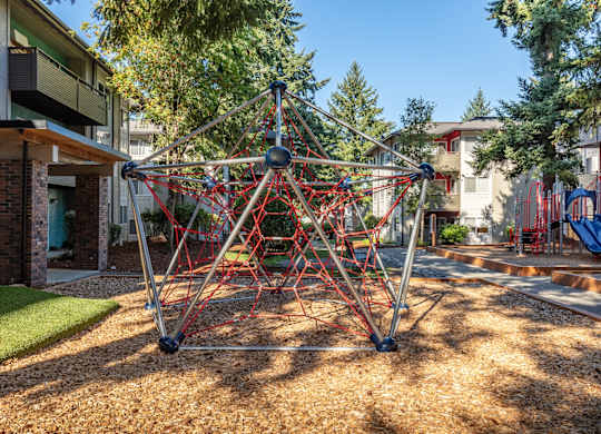 Outdoor Play Area at Central Park East, Bellevue, 98007