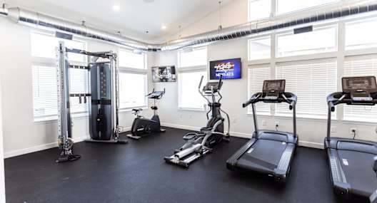 the gym is equipped with cardio equipment and weights