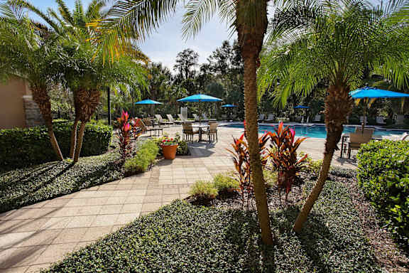  Outdoor saltwater pool with sundeck and grills