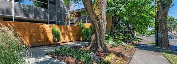 A pathway between two buildings with green plants on the sides.
