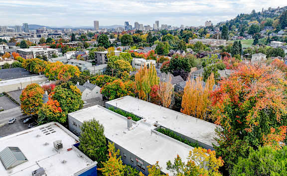 Aerial view of neighborhood at Forestry Court Apartments, Portland