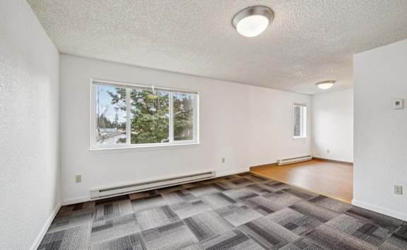 Young couple on couch with computer at Conifer Woods Apartments, Alaska, 99603