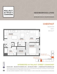 1 bed 1 bath Chestnut at Walnut Street Commons, Allentown