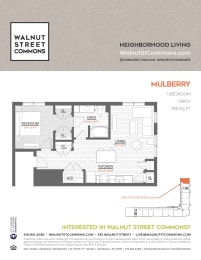 1 bed 1 bath Mulberry at Walnut Street Commons, Allentown, PA