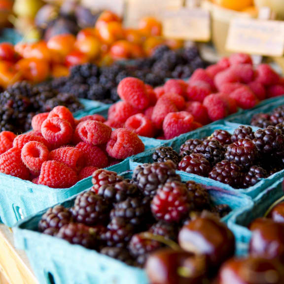 berries in containers at Copper Pines, Bozeman