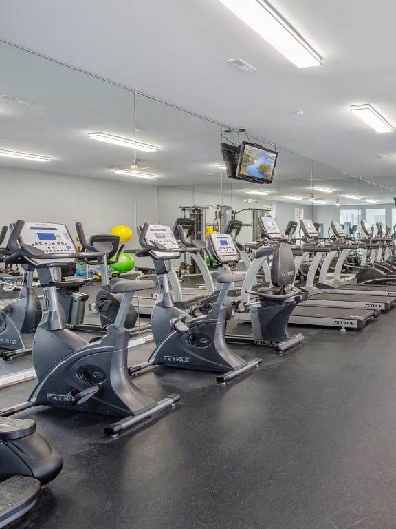 Fitness Center at Lakeside Village Apartments in Clinton Township, MI 48038