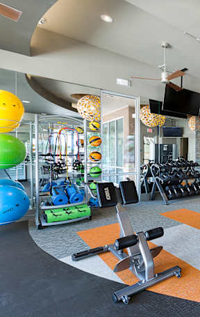 A gym with a variety of equipment including treadmills, weights, and exercise balls.