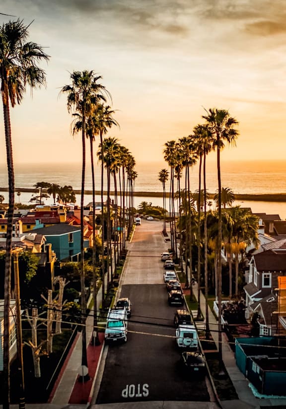 A street lined with palm trees and parked cars under a sunset sky.