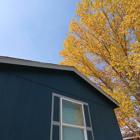 a window on the side of a house with a tree in the background at Country Lane, Cheyenne, Wyoming