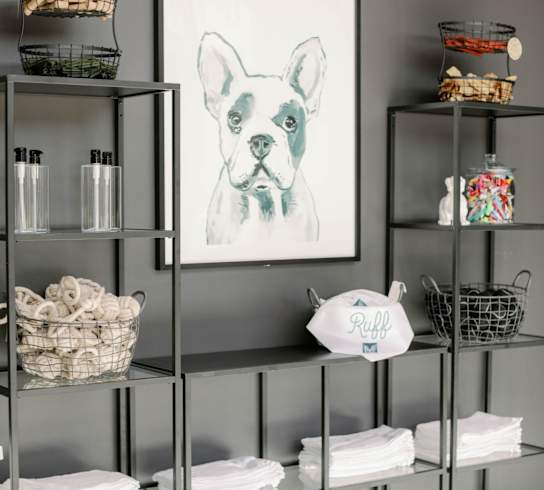 Shelving in the pet spa room with towels and a painting of a dog at The Merchant Apartments, Charleston, SC, 29403
