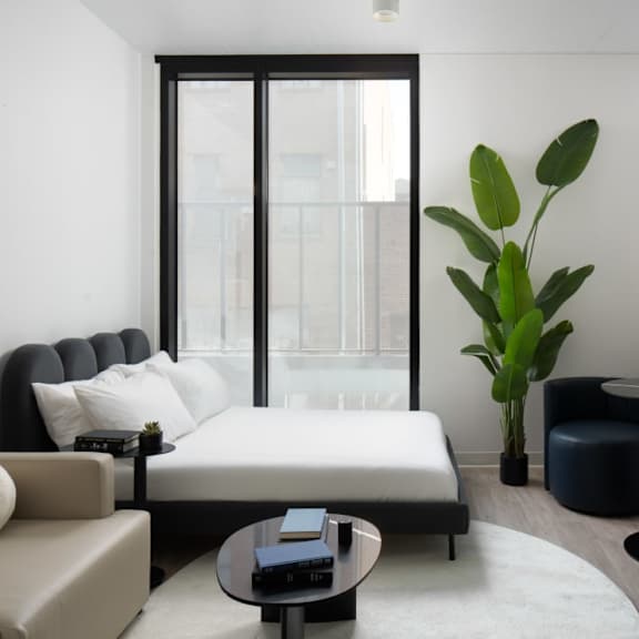 A modern living room with a large window, a sofa, a bed, a coffee table, and a potted plant.