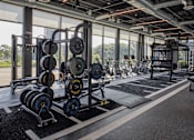 Thumbnail 5 of 8 - A gym with a row of weightlifting equipment.